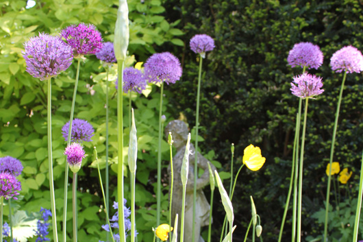 Cottage Garden Maintenance The Oxfordshire Gardener