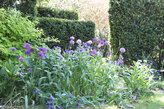 Cottage Garden Maintenance | The Oxfordshire Gardener